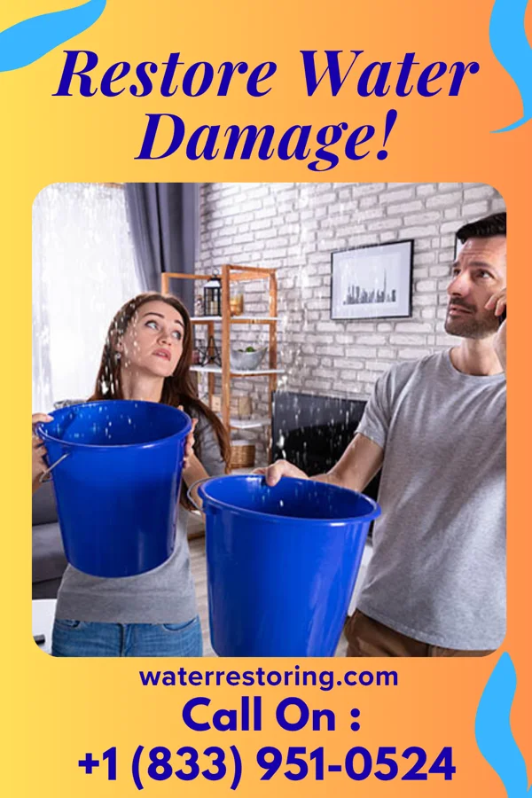 water restoration Sentinel Damage Restoration Brothers Science Hill