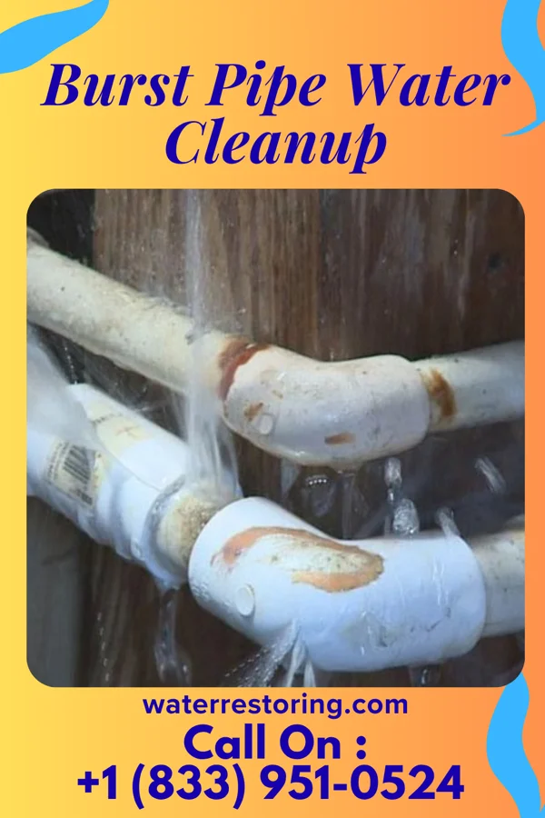 Burst Pipe Water Cleanup in Science Hill, KY