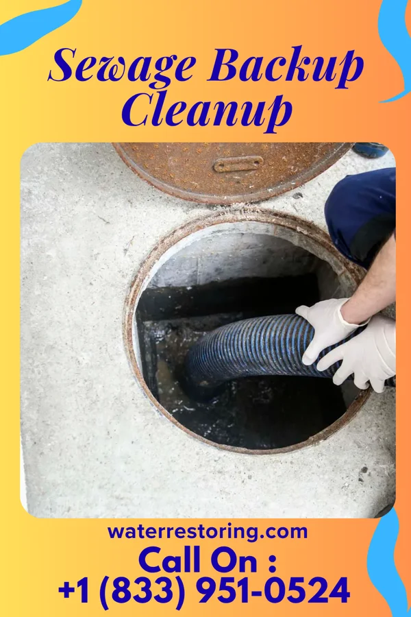 Sewage Backup Cleanup in Science Hill, KY