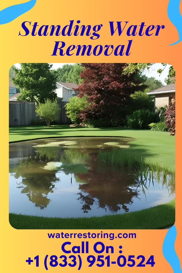Standing Water Removal in Science Hill, KY